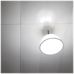 P000000042_3