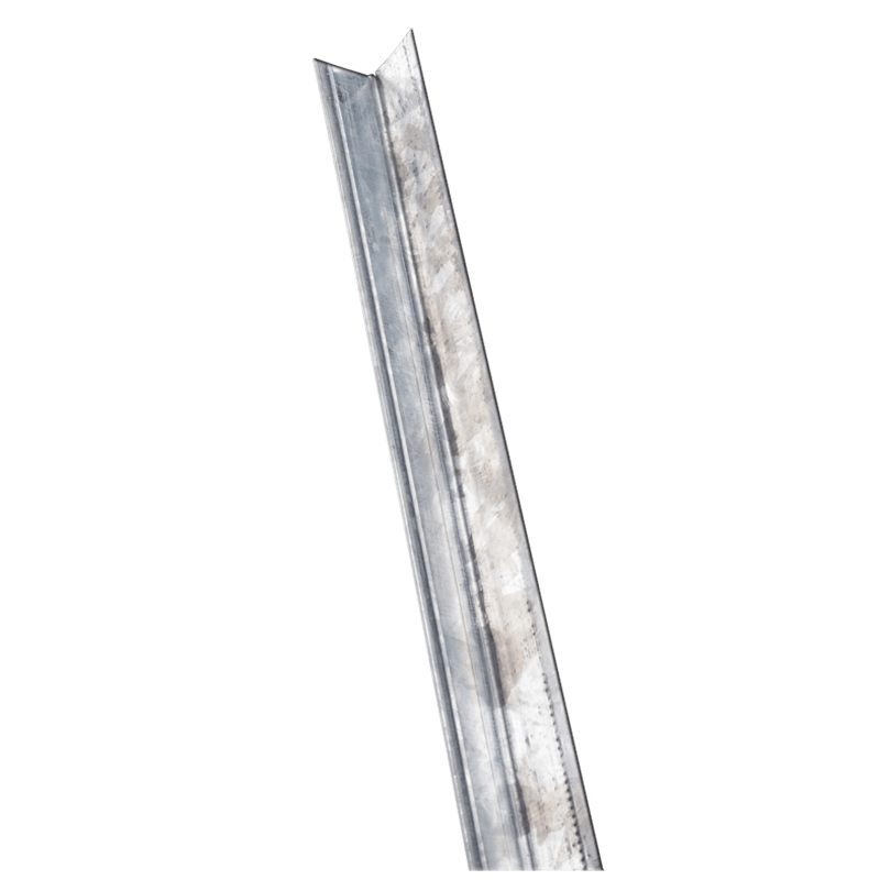 P000007779_2